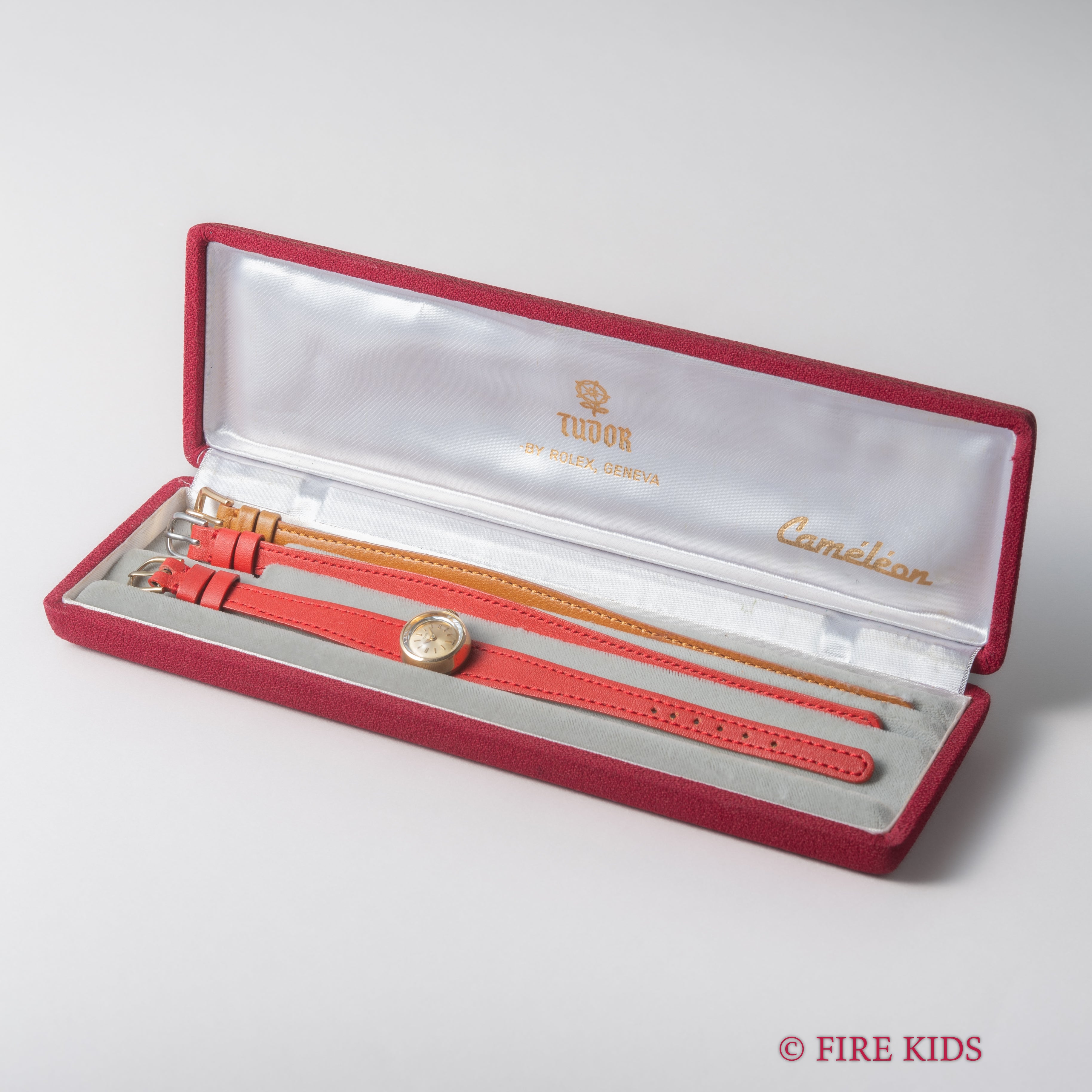 チューダー カメレオン 1966年製 40ミクロン金張り 王冠リューズ 箱付き