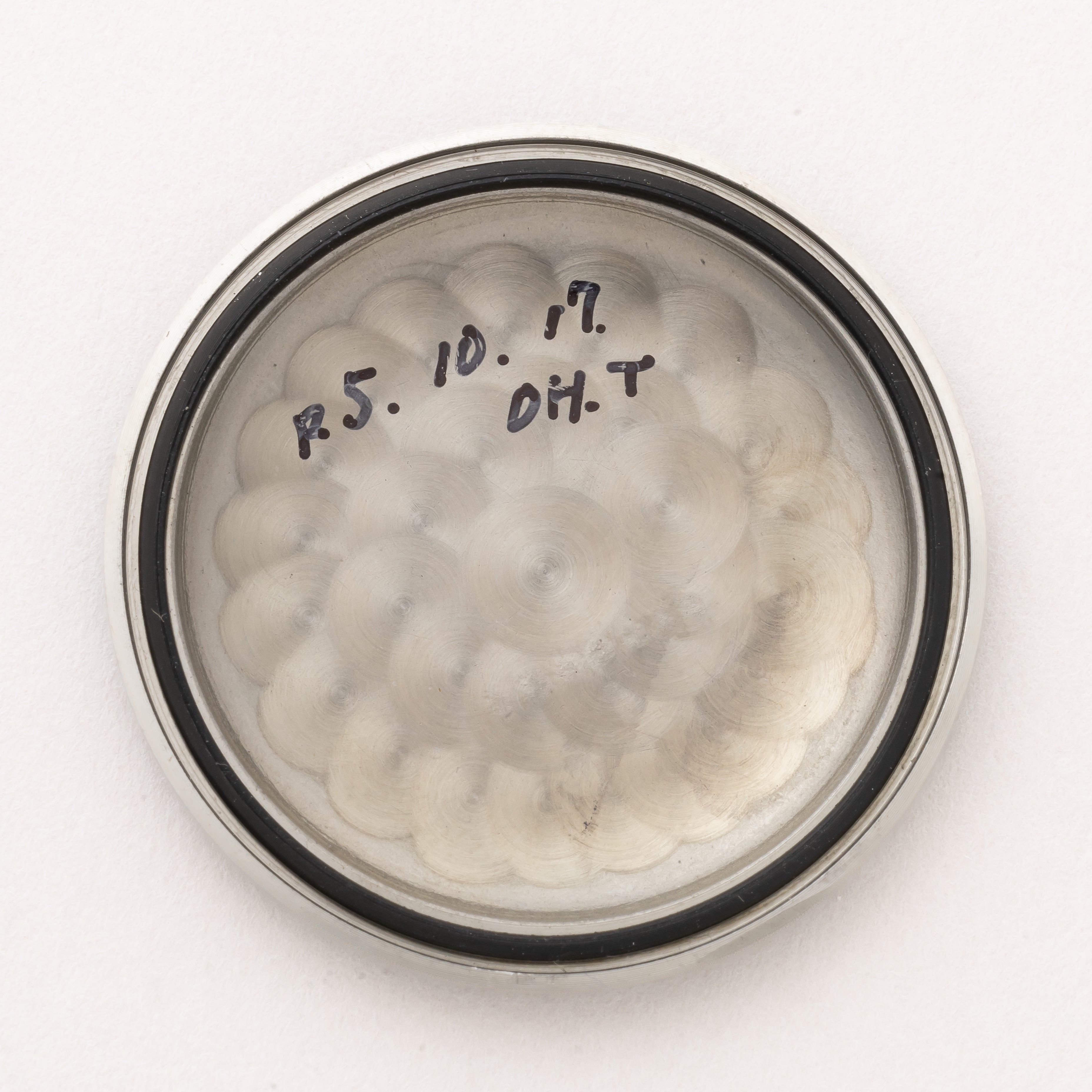 シチズン ジェット オートデーター オリジナルホワイトダイヤル 1964年製 パラウォーター