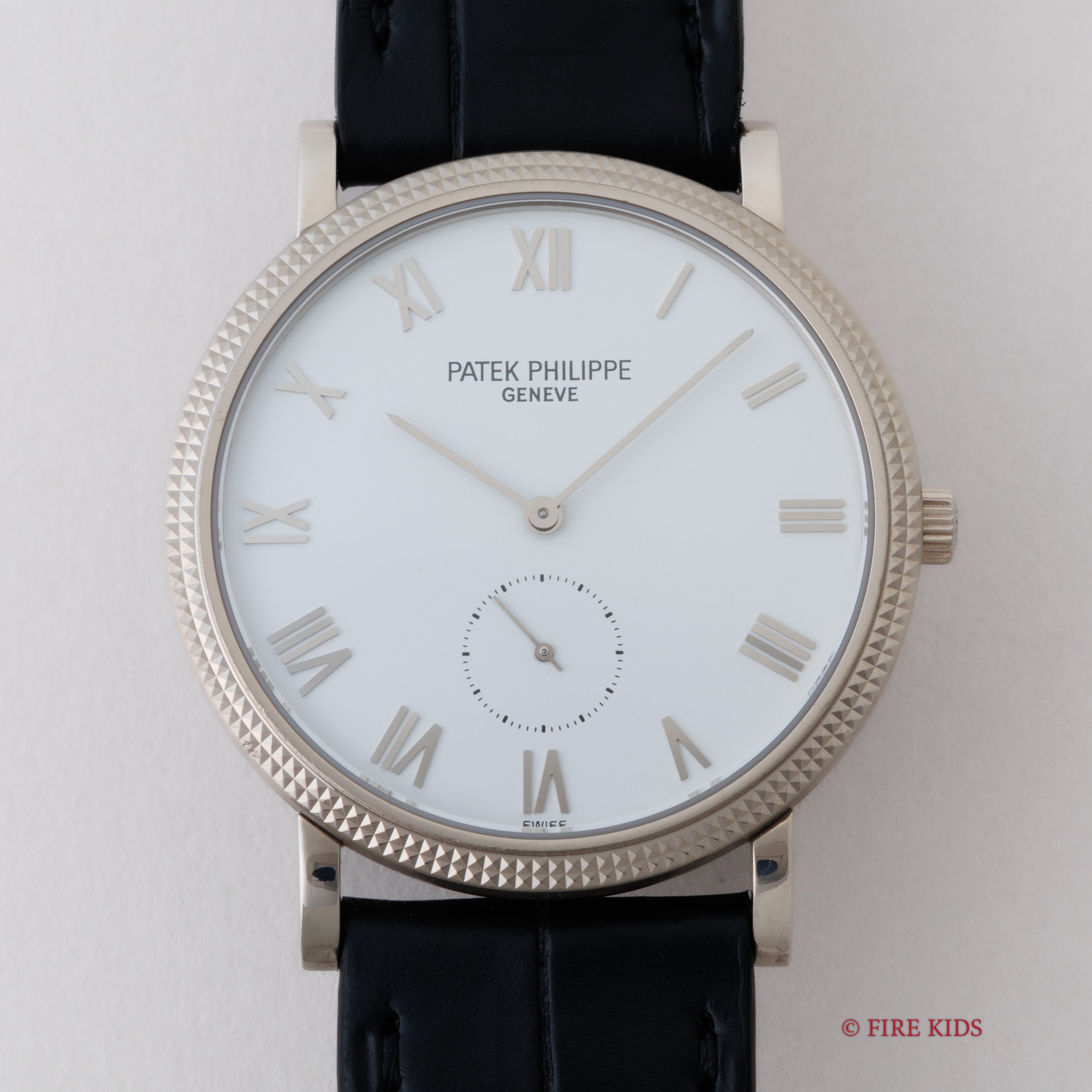 パティックフィリップ【 PATEK PHILIPPE】ペンケース パティックフィリップ【 PATEK PHILIPPE】ペンケース