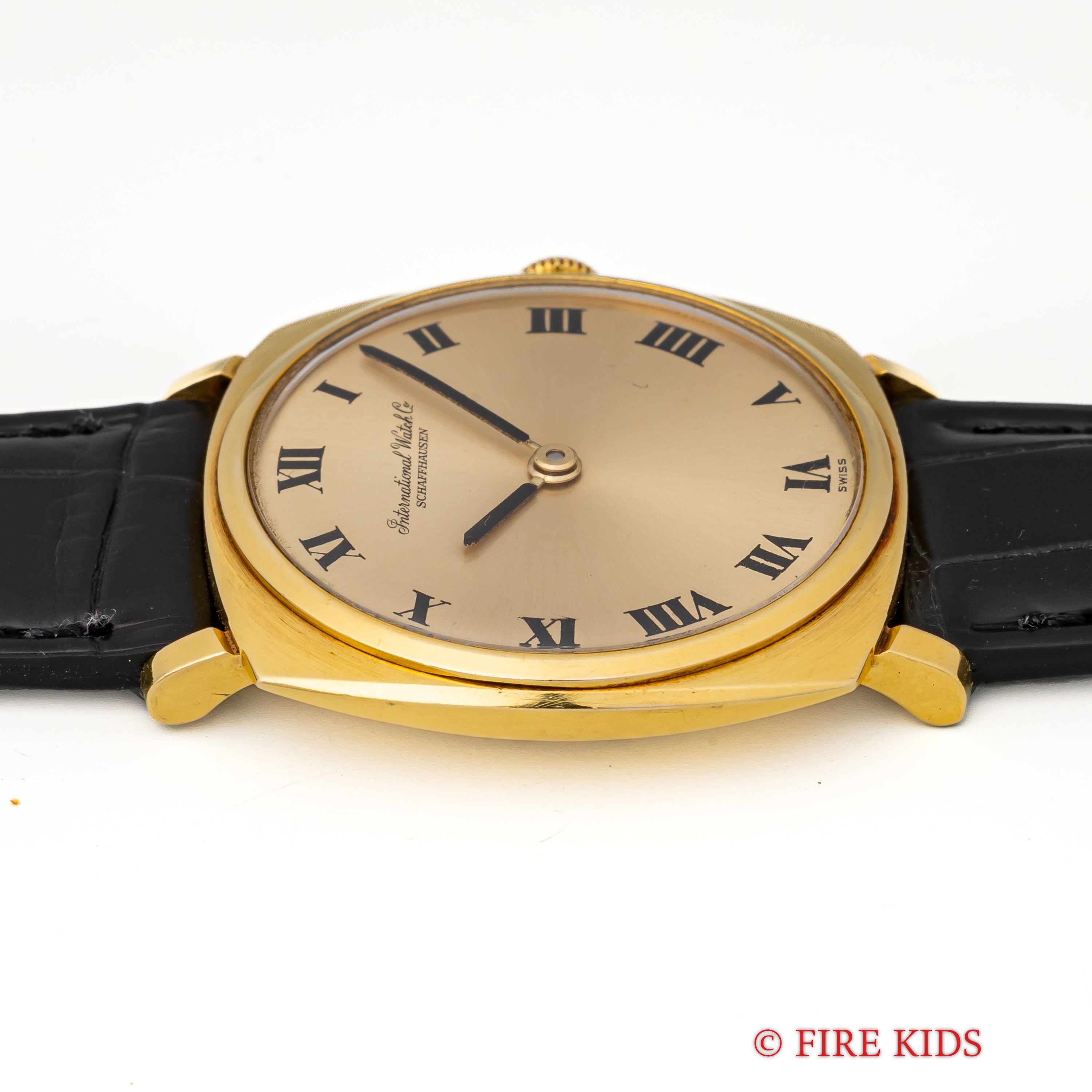 IWC 18金無垢 クッションケース 1966年製 ローマンダイヤル 手巻き Cal.422